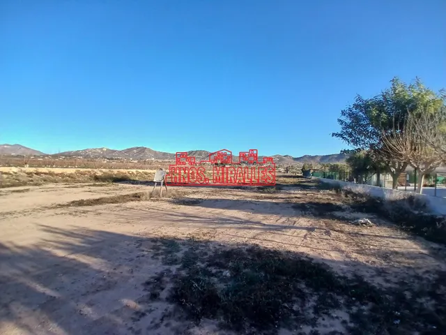 ¡¡ MAGNÍFICA PARCELA EN ASPE, 12.000 m2 !! - foto 3