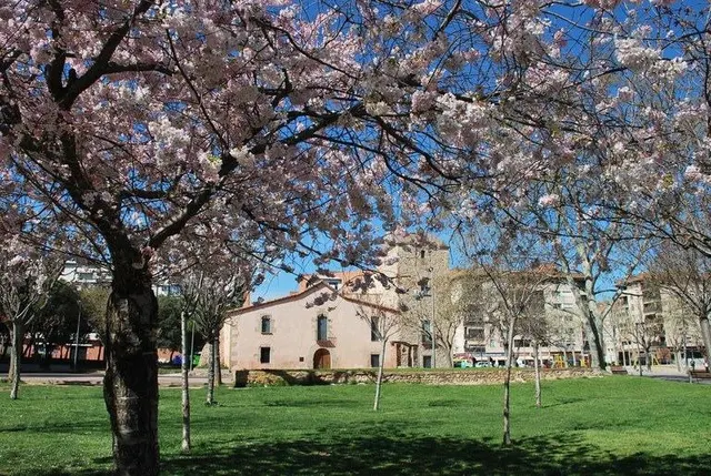 SOLO ALQUILER TEMPORAL PARA ESTUDIANTES DEL ISCP! — 4