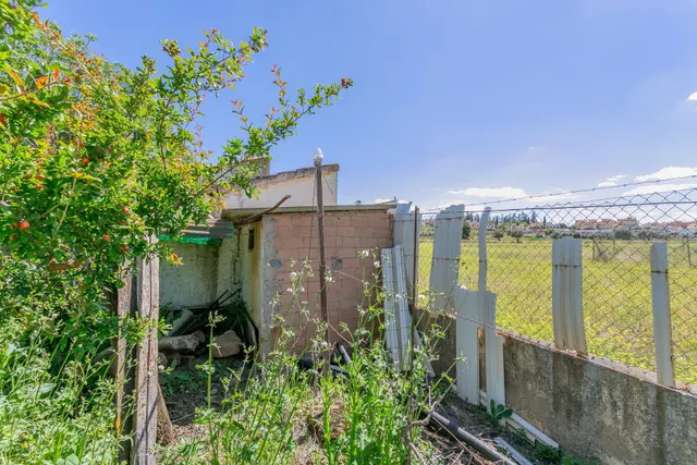 "¡Vive la vida en el campo! Terreno con casa de aperos y cultivos de olivos y frutales en ve — 18