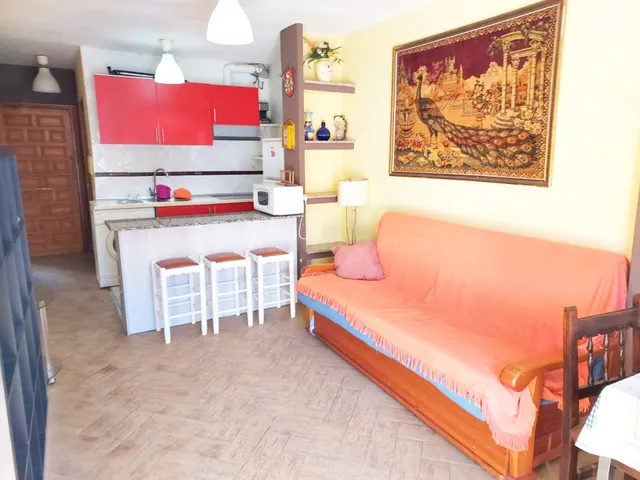 APARTAMENTO EN PLANTA BAJA CON PISCINA COMUNITARIA - foto 5