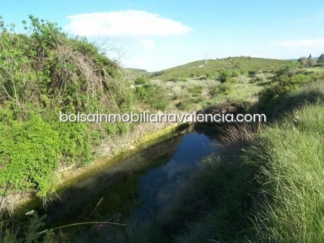 Terreno rural 8000m² en venta - La Raiosa — 11