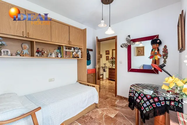 PISO EN PEDRO ANTONIO DE ALARCON — 19