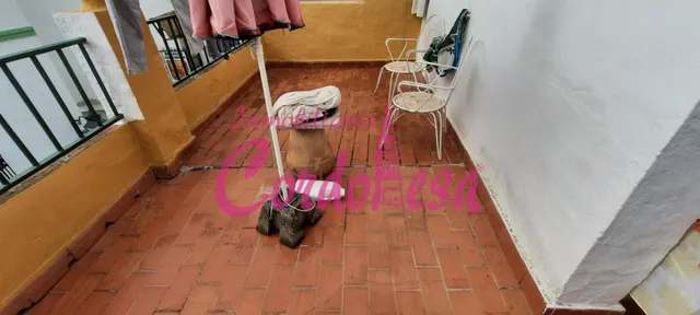 CASA CERCA DE LA MEZQUITA — 14