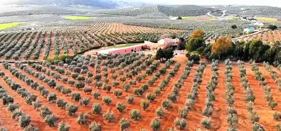 UN PARAÍSO EN EL SUR DE ESPAÑA!!!!!