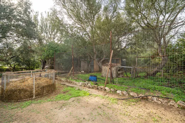 Finca rústica con 3 dormitorios, piscina y múltiples posibilidades en Inca. — 39