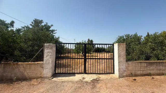 CASA DE CAMPO EN CORVERA CON 5.400 M2 DE PARCELA — 33