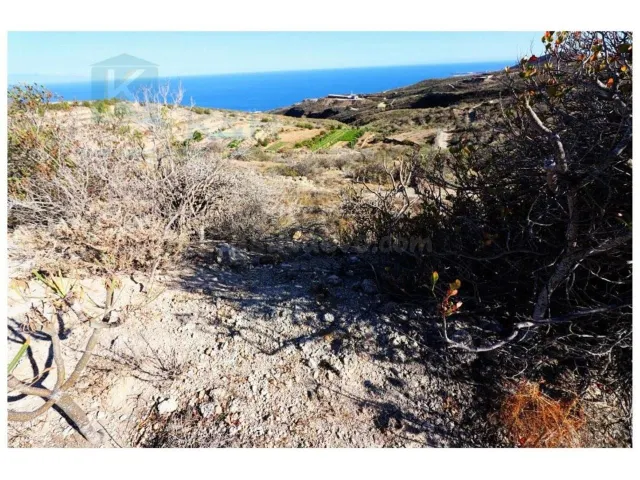 Gran terreno con huertas descansadas en Güimar — 11