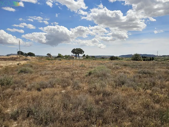 SE VENDE PARCELA EN EL ALJAU - ASPE (ALICANTE) - foto 3