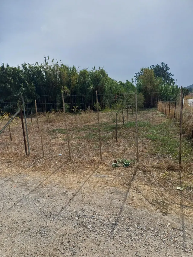 FINCA DE RECREO EN VENTA – PEDANÍA DE JEREZ — 6