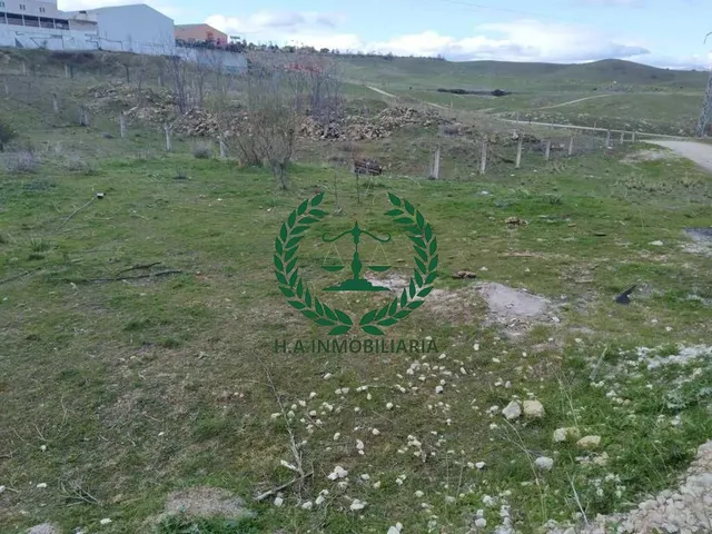 SUELO URBANO EL MOLAR   SUPERFICIE: 1.296,00 m2        PVP. 185.000 € — 3