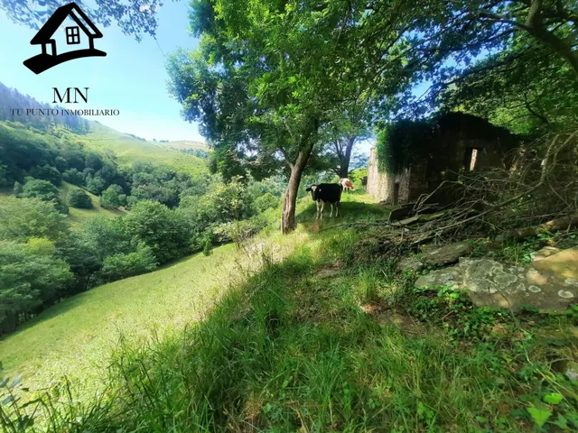 Cabaña tradicional de piedra con gran finca de 9.710 m2 en e - foto 4