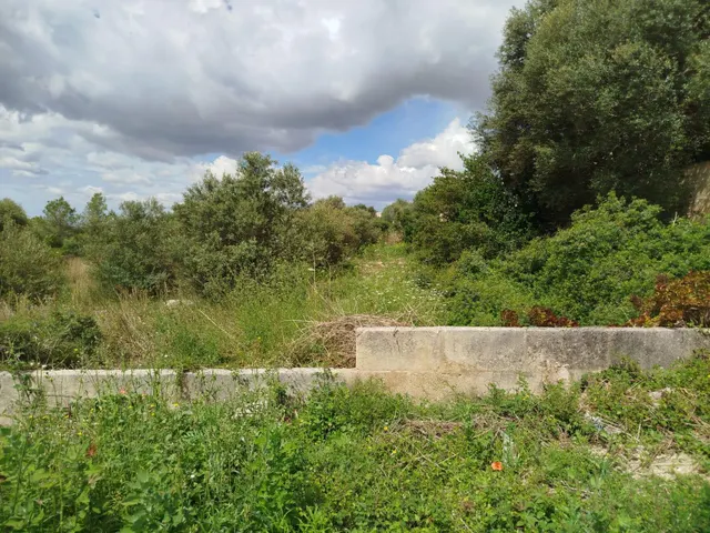 Solar en Muro — 18
