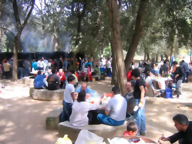 Finca rústica de 9 hectáreas en Arenys de Munt — 21