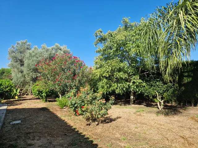 Finca rústica con dos viviendas, piscina y 56.000 m2 de tierras de regadío a 10 minutos de Jerez — 23