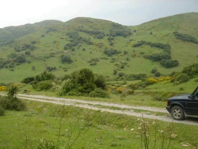 Se vende finca ceca de Tarifa — 4