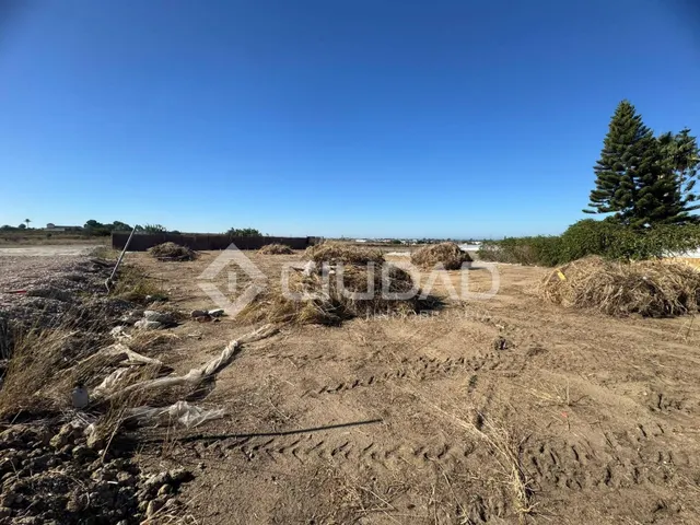 Terreno rústico 950m2 en La Dehesilla - Las Palmeras — 7