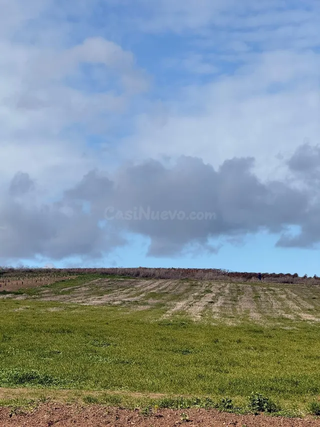 VENTA DE SUELO EN TREBUJENA - foto 4