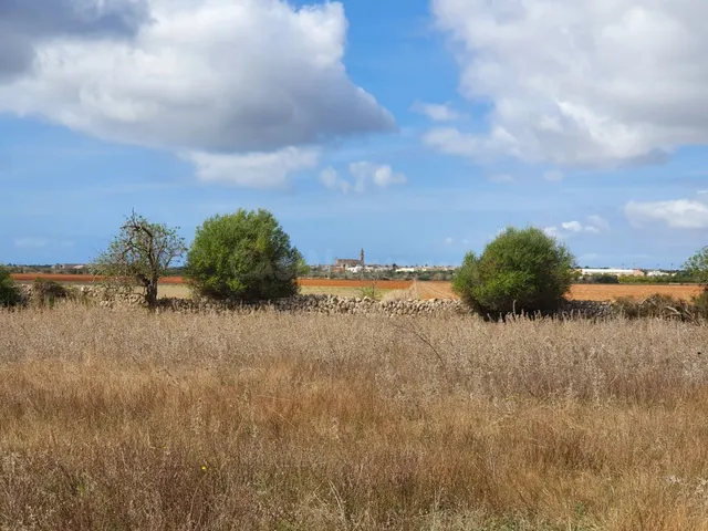 Terreno rústico de más de 18.500 m2 cerca de Ses Salines - foto 4
