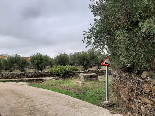 parcela a 1000 m2 con pozo al lado de Botija — 9