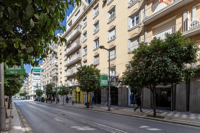 PISO COMPLETAMENTE REFORMADO EN CALLE RECOGIDAS — 38
