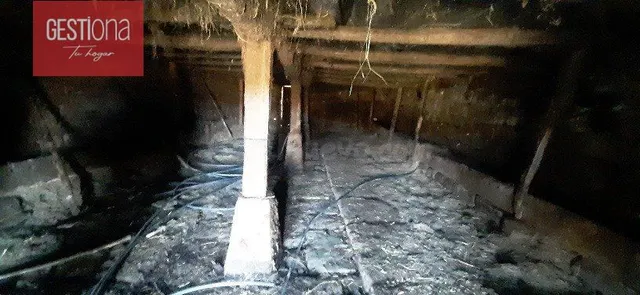 CABAÑA EN PLENA NATURALEZA, SAN PEDRO DEL ROMERAL. - foto 5