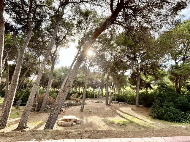 Chalet adosado de 3 dormitorios y 2 baños en orihuela costa (dehesa de campoamor) — 43