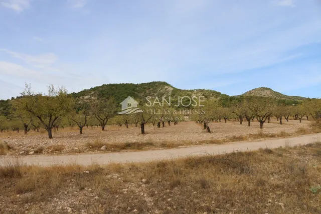 VENTA DE TERRENO EN JUMILLA — 8