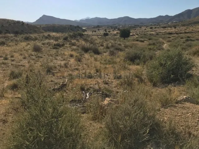 SE VENDE TERRENO , RUSTICO , ZONA MUY TRANQUILA , 35.000 MTS - foto 2