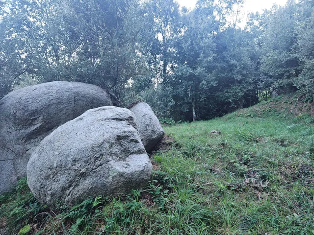Parque natural del montseny (afueras riells): masía típica catalana catalogada a reformar — 40