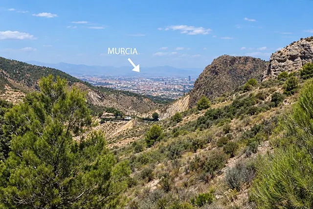 Villa 3 habitaciones 284m² en venta - Cañadas de San Pedro — 25