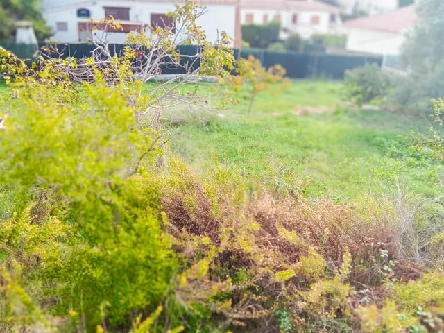 OCASIÓN!!!!!!! FANTASTICA PARCELA URBANA LLANA EN EL RECTORET DE 520 M2 — 2
