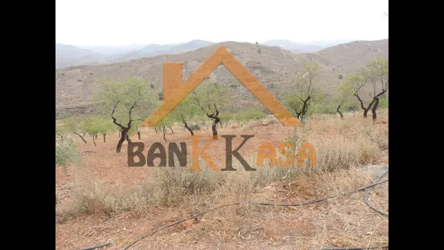 FINCA RÚSTICA EN FONDÓN - CAMINO DE CAZÍN - foto 4