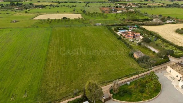 Finca rústica en venta en Campos - foto 5