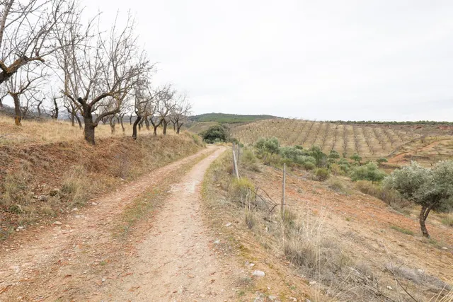Magnífica finca de 400 olivos en Monachil — 27