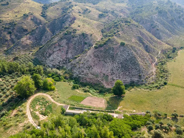 Dehesa zona Sierra Magina en Cambil y Huelma - Jaen - foto 4