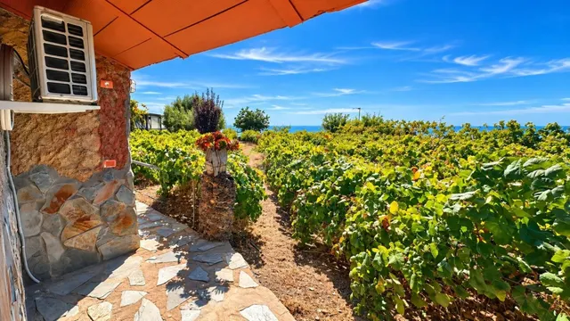 Finca exclusiva en Vilaflor · 2 viviendas, viñedo, bodega y piscina — 2