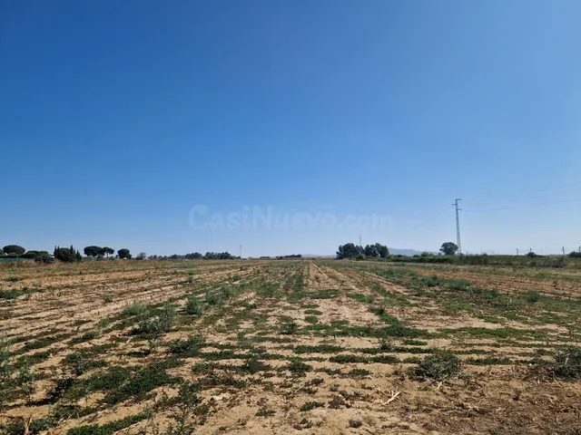 Finca rústica con dos viviendas, piscina y 56.000 m2 de tier - foto 5