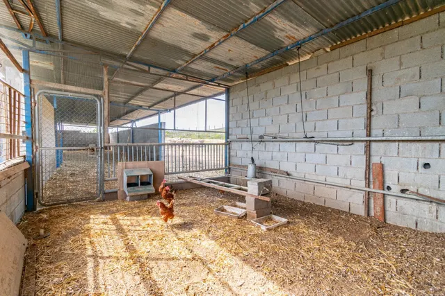 Finca rústica en venta con casa, nave y piscina - foto 4