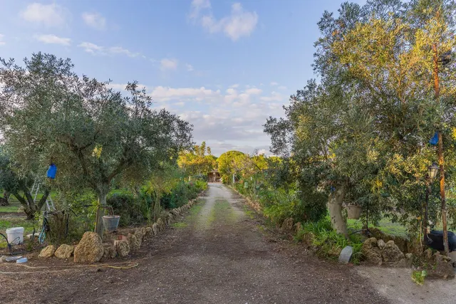 Finca Rural — 28