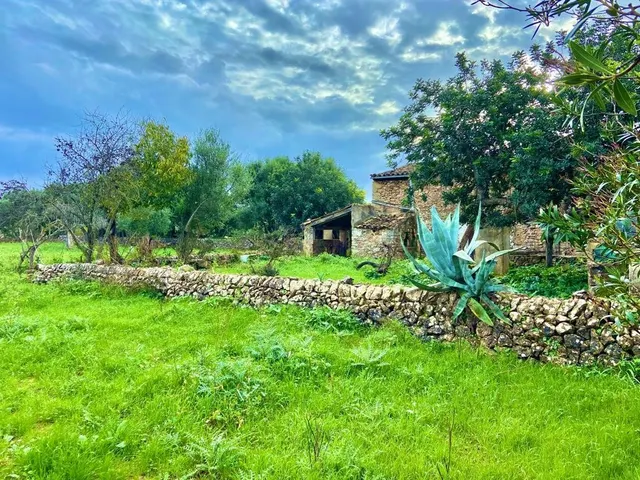 Finca rústica con caseta y 6000m2 para tus proyectos de campo — 9