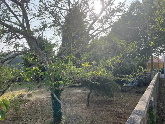 FINCA URBANA EN CAMBRE (DOS PARCELAS) — 10