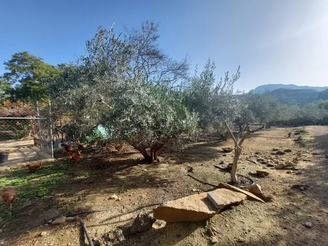 Casa con terreno en zona del Garruchal — 41