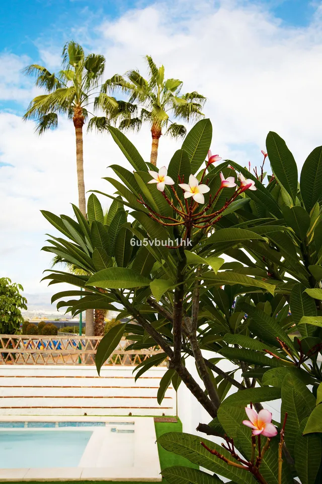 Adosado 3 habitaciones 155m² en venta - Costa Del Sol — 38