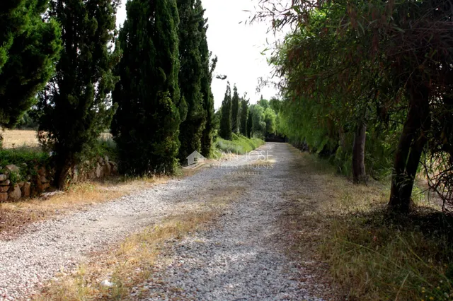 VENTA DE CHALET DE LUJO EN MONFORTE DEL CID — 43