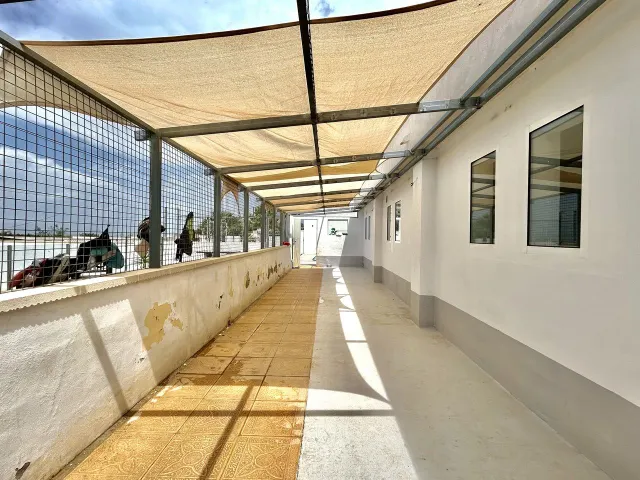 Villa 8 habitaciones 377m² en venta - Pueblo 8 — 45