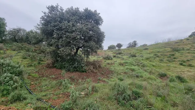 Parcela en venta - South of spain — 3