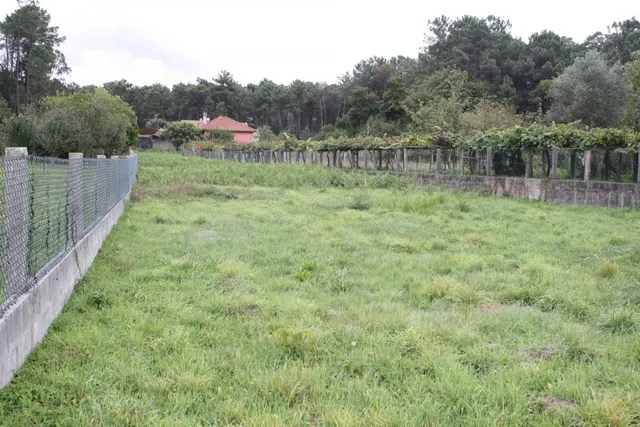 ¡¡¡¡TERRENO EDIFICABLE A 20 MIN DE VIGO, 5 MIN DE TUI Y 8 MIN DE TOMIÑO !!!!! — 15