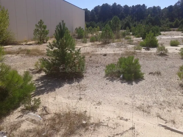 SE VENDE PARCELA INDUSTRIAL EN GOLMAYO - foto 4