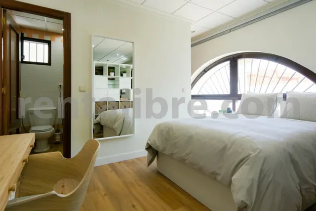 Loft 1 habitación 44m² en alquiler - Centro — 17