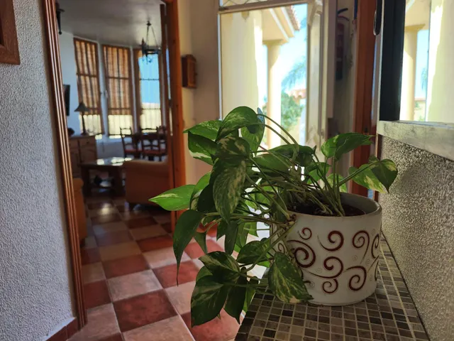 CHALET CON PISCINA EN SANCTI PETRI — 24